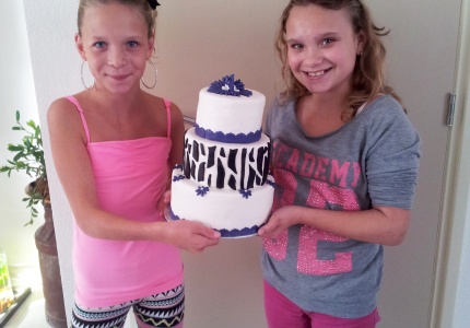 Mooie taart met bijbehorende cupcakes gemaakt