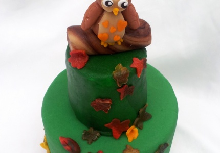 Leuke seizoenstaart met herfstblaadjes en bosuil