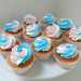 Cupcakesmetrozeblauweenwittetoefjes